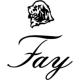 is-fay-an-israeli-company