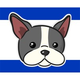 is-dagshub-an-israeli-company