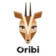is-oribi-an-israeli-company