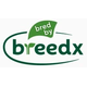 is-breedx-an-israeli-company