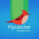 is-flycatcher-toys-an-israeli-company