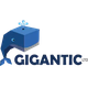 is-gigantic-an-israeli-company