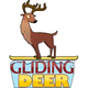 is-gliding-deer-an-israeli-company