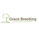 is-grace-breeding-an-israeli-company