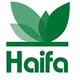is-haifa-group-an-israeli-company