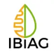 is-ibi-ag-an-israeli-company