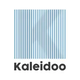 is-kaleidoo-an-israeli-company