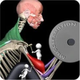 is-muscle-motion-an-israeli-company