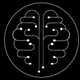 is-neuroaudit-an-israeli-company