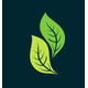 is-pickapp-farming-an-israeli-company