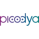 is-picodya-technologies-an-israeli-company