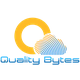 is-quality-bytes-an-israeli-company