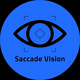 is-saccade-vision-an-israeli-company