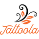 is-taltoola-an-israeli-company