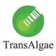 is-transalgae-an-israeli-company