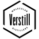 is-verstill-an-israeli-company
